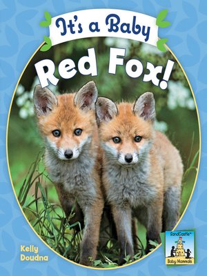 cover image of It's a Baby Red Fox